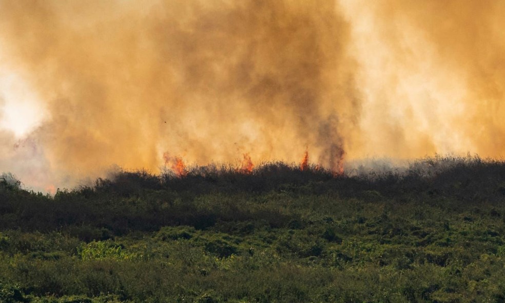 'Muralha de fogo': MS decreta emergência após incêndios no Pantanal