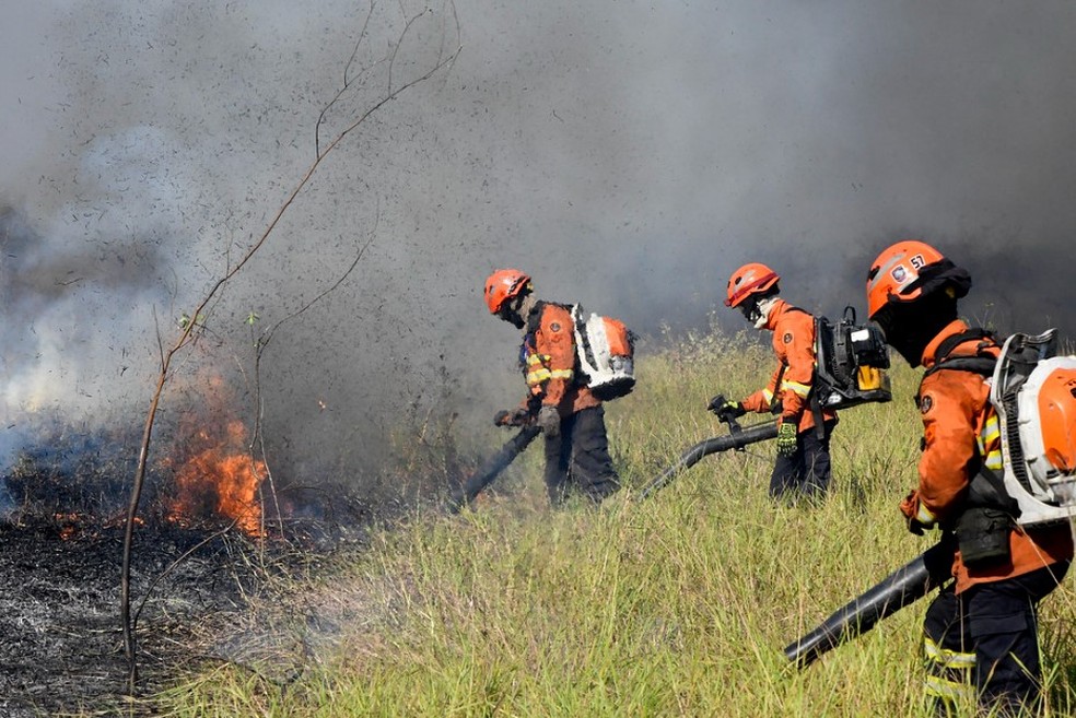 Pantanal: o que é o 'fogo subterrâneo' e por que é tão difícil combatê-lo